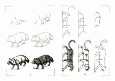 Керн, Тони. Рисуем хищных животных. Пошаговый метод рисования (ил. Керн, Тони). Сер. Пошаговый метод рисования. Минск, Современное слово, 2002