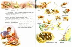 Делаэ, Жильбер. Маруся на каникулах: На даче. В зоопарке (обл. и ил. Марлье, Марсель). Сер. Приключения Маруси. М., АСТ, 2013