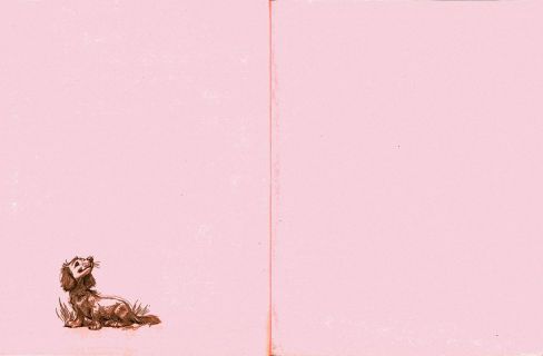Делаэ, Жильбер. Маруся — подружка всех зверят: В лесу. В деревне (обл. и ил. Марлье, Марсель). Сер. Приключения Маруси. М., АСТ, 2017