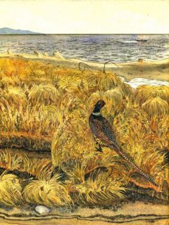 Сысоев, В.П. Золотая Ригма. Повести и рассказы (ил. Павлишин, Г.Д.). М., Советская Россия, 1983