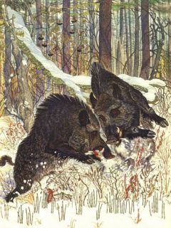 Сысоев, В.П. Золотая Ригма. Повести и рассказы (ил. Павлишин, Г.Д.). М., Советская Россия, 1983