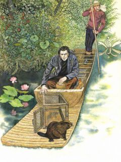 Сысоев, В.П. Золотая Ригма. Повести и рассказы (ил. Павлишин, Г.Д.). М., Советская Россия, 1983