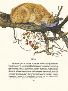 Сысоев, В.П. Золотая Ригма. Повести и рассказы (ил. Павлишин, Г.Д.). М., Советская Россия, 1983