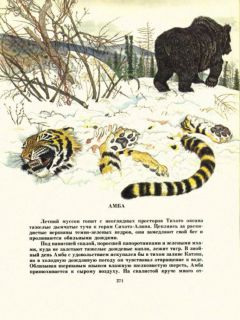 Сысоев, В.П. Золотая Ригма. Повести и рассказы (ил. Павлишин, Г.Д.). М., Советская Россия, 1983