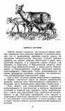 Петрищев, Б.И. Пустыне нужны сайгаки (оформ. и 1 ил. Полесицкая, С.М.). М., Мысль, 1987